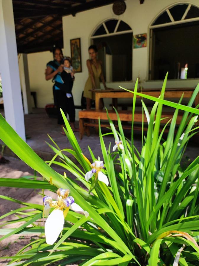 Shangri-Lá Hostel Barra Grande (Bahia) Exterior foto